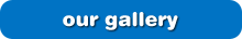 our gallery >>